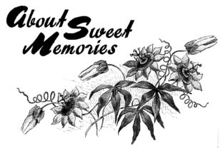 About Sweet Memories: A Striking Display Font