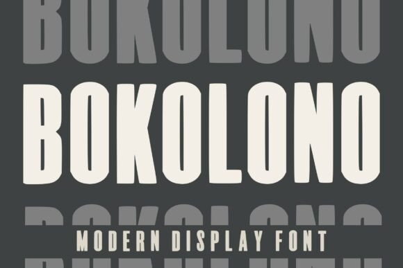 Bokolono: The Bold Display Font for Modern Design