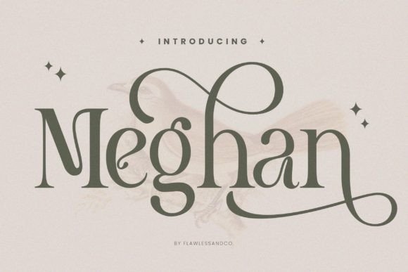Discover Meghan: An Artsy Modern Serif Font
